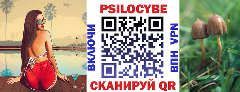 Галлюциногенные грибы мухоморы  купить наркотик  Староминская 