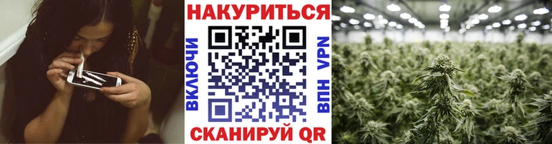Шишки марихуана семена  купить наркотики цена  Староминская 